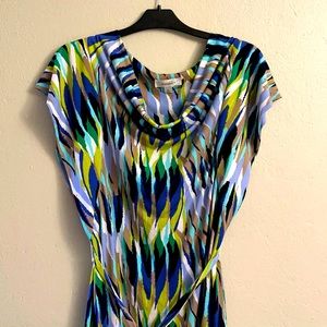 Dressbarn knee length size 10